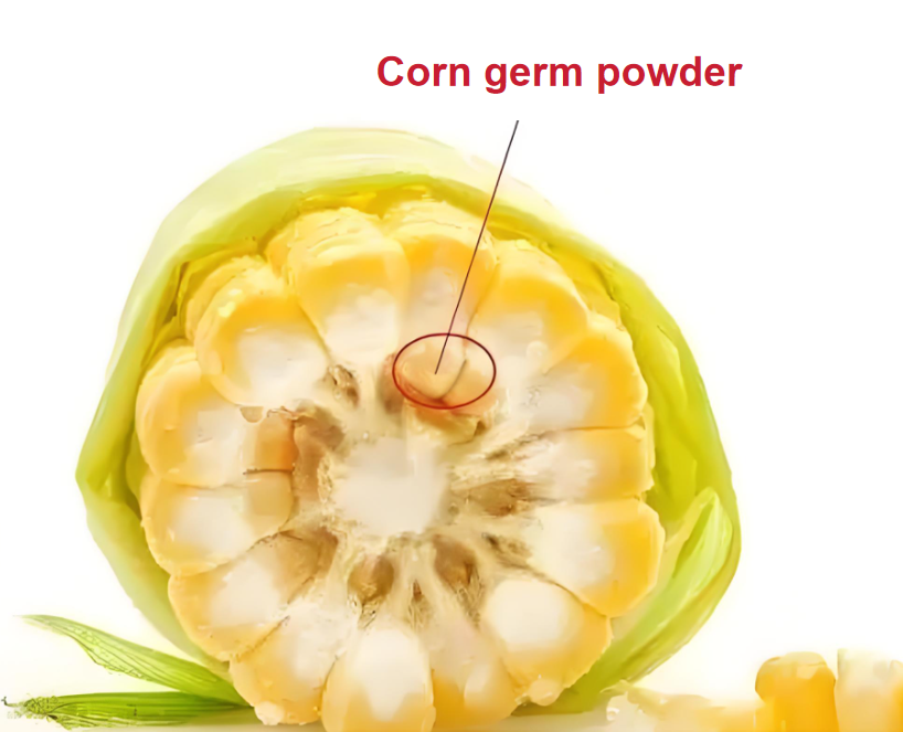 Corn germ processing step