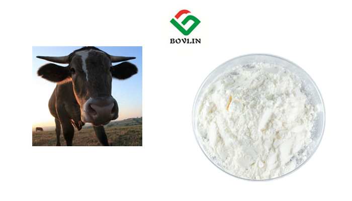 Bovine Collagen Peptide Row 1 Image 3