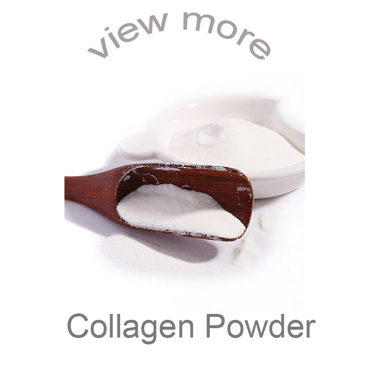 Food Grade Hydrolyzed Animal Protein (HAP) 95%+ Purity Powder Form Nutrition & Flavor Enhancer