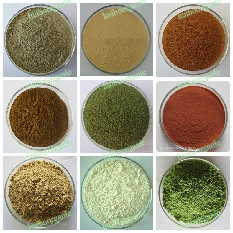 Rice Protein Powder 80% / Hydrolyzed Rice Protein Customized Package