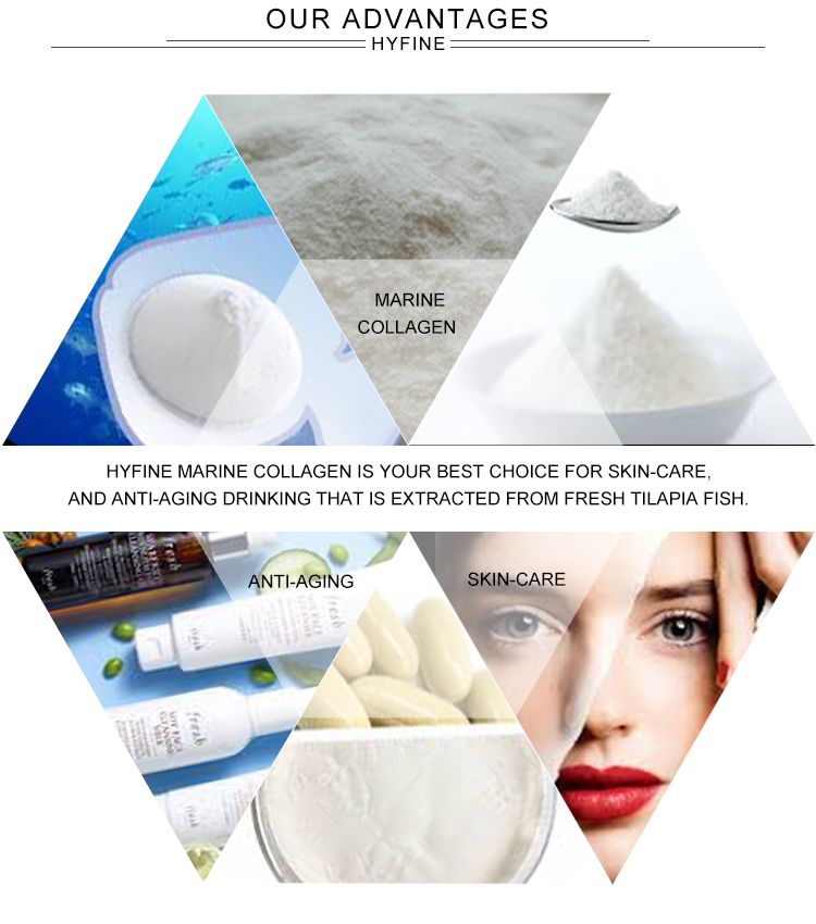 Healthy Beauty Dried Scales Water Soluble Type Hydrolysed Proteins Salmon Fish Marine Collagen Peptide Powder