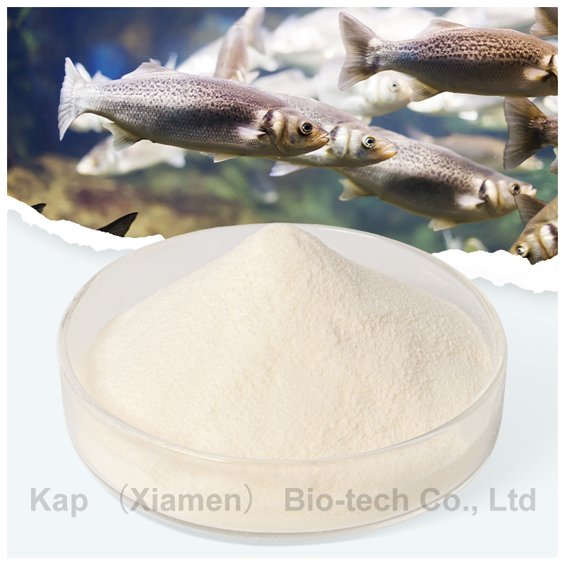 Halal Hydrolyzed Beef Collagen Protein Peptides Powder Thickeners From Bovine Grass Fed Fish Collagen
