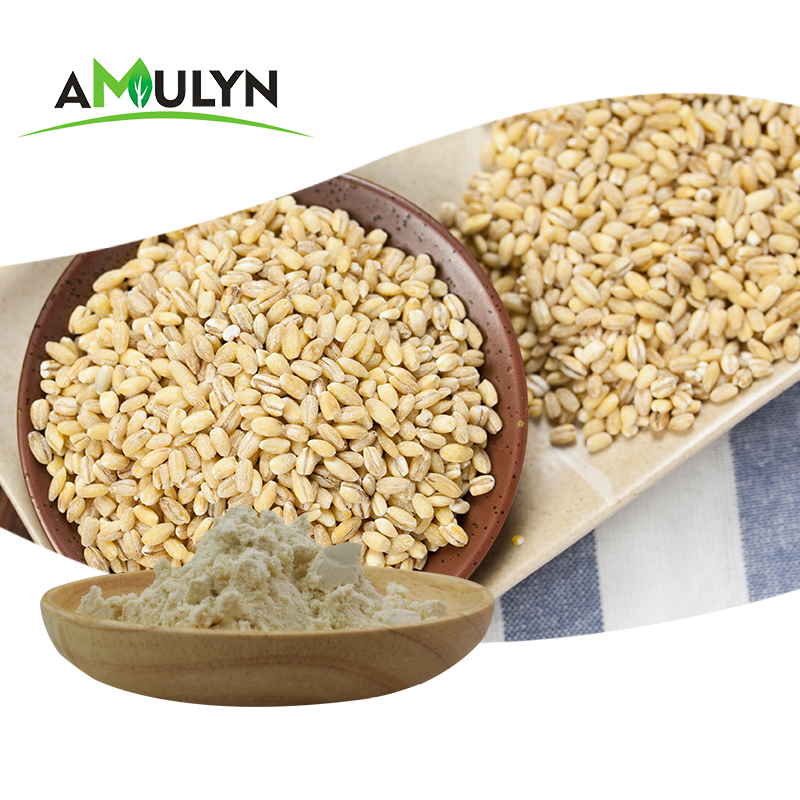 Amulyn Hot Selling Wheat Hydrolysis Protein Isolate Powder for Drink