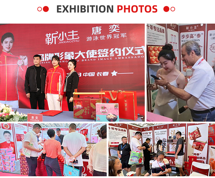 Exhibition Photos