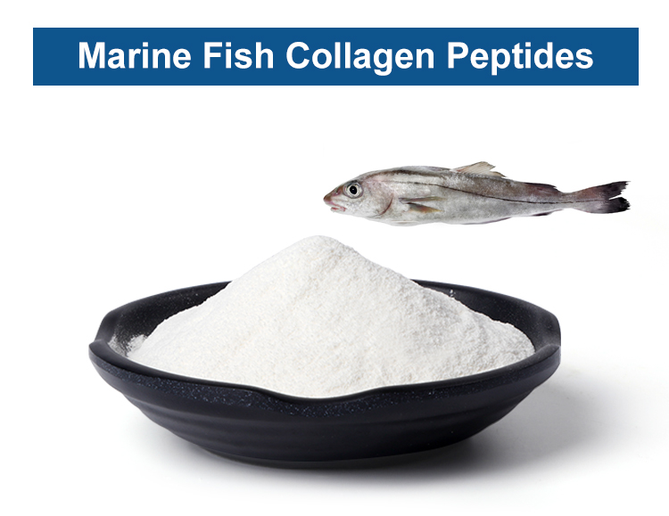 Codfish Collagen Peptide