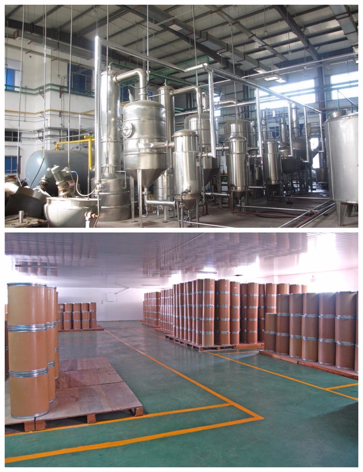 Kosher ISO Hydrolyzed Wheat Protein 80% Nutrition Enhancer Food Grade Additive 15kg/20kg Packing