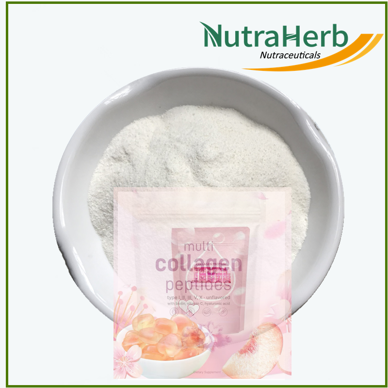 OEM Fish Peptides Powder Hydrolyzed Peptides Powder for Hair Skin Nail Vegan Fish Protein Powder in Bags for Gummmies