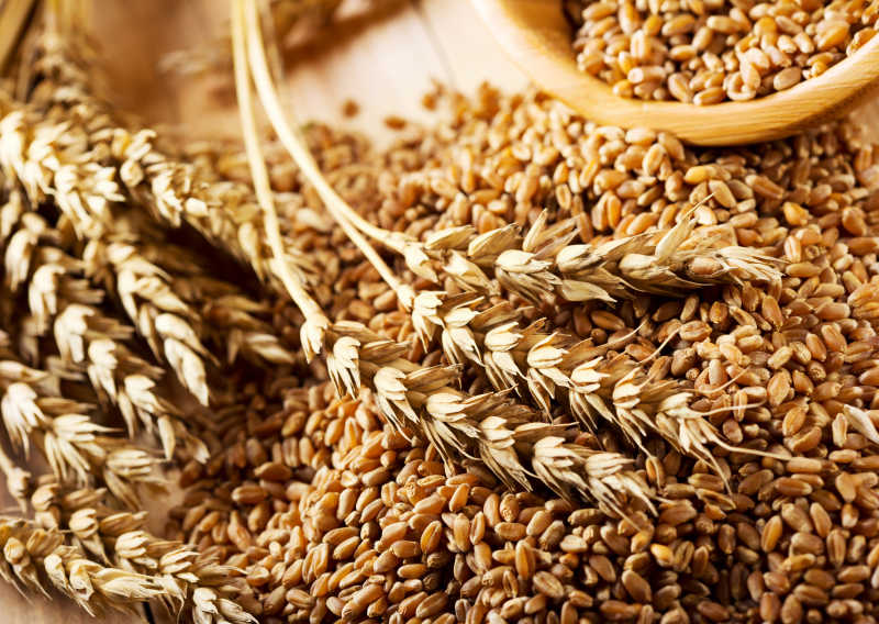 Wheat Protein Detail 1