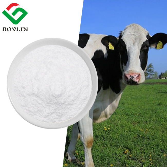 Pure Bovine Collagen Peptide Powder Best Price Kosher Hydrolyzed Collagen Peptides Bovine Halal Collagen Peptide 90%