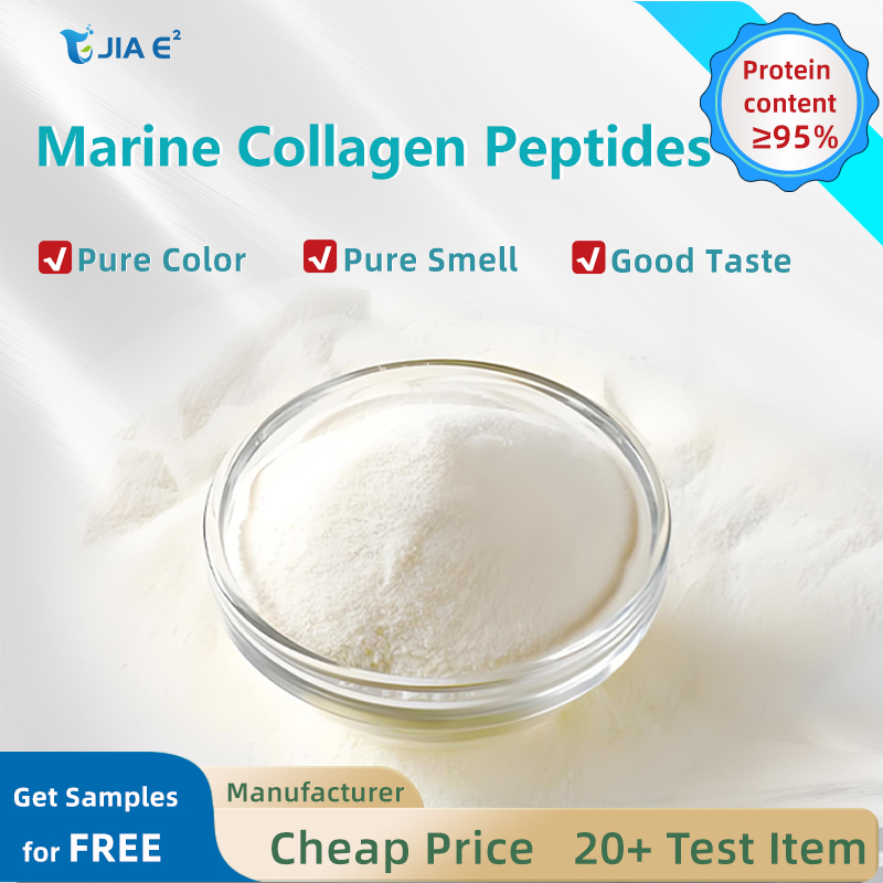 Wholesale JIAYI Platinum Halal Certified Natural Fish Collagen Peptides Powder 95% Protein Hydrolyzed Adult Use Skin Hydrating