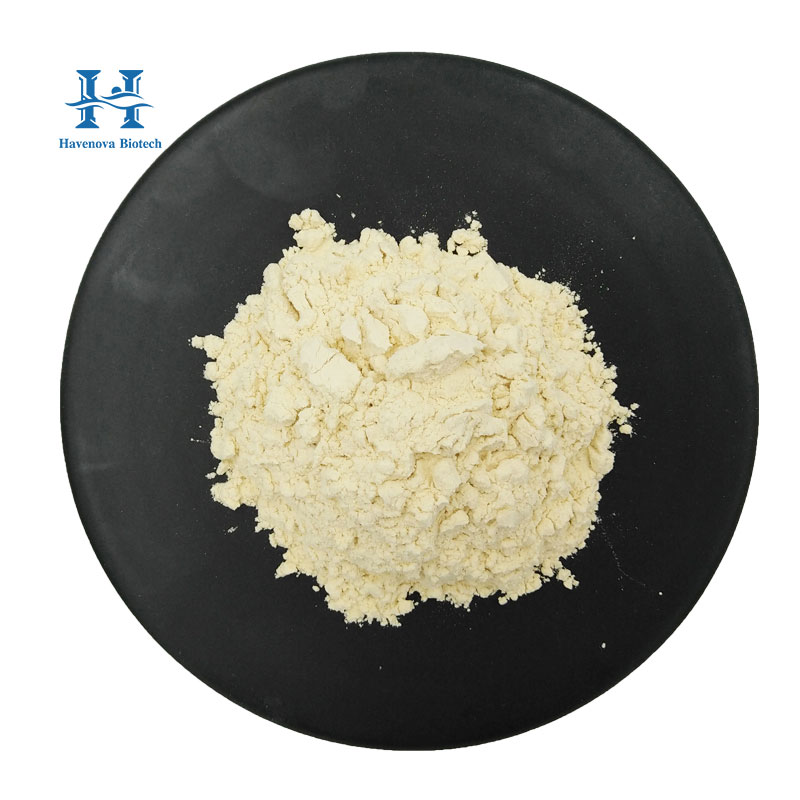 Premium Quality High Protein Hydrolyzed Beef Protein for Horse and Fish Pet Food Quickly Supplement High-quality Protein