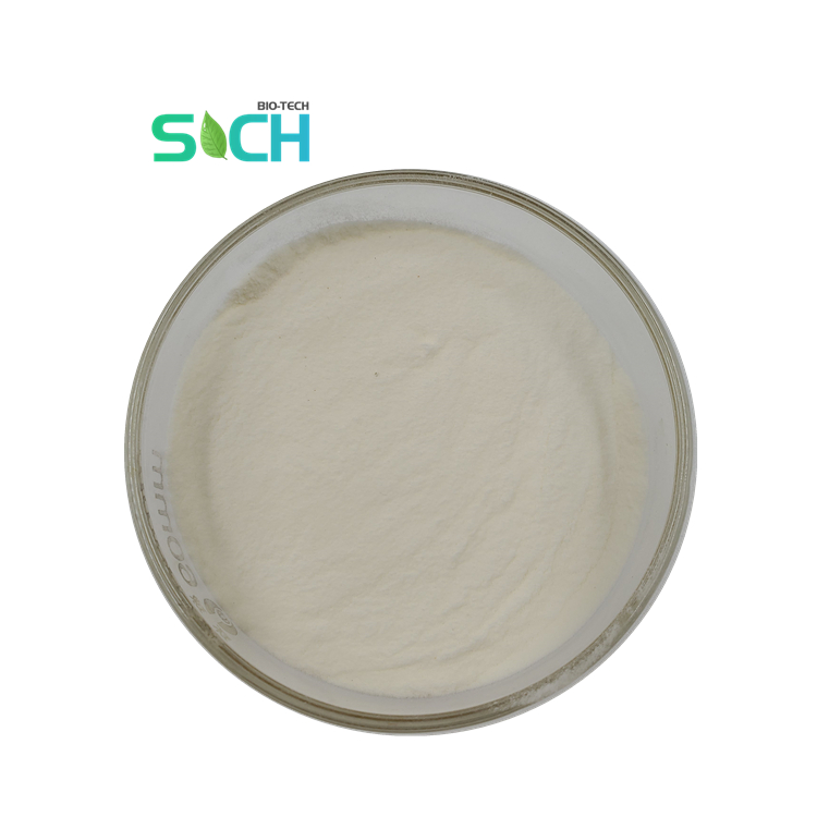 Skin Whitening Hydrolyzed Rice Protein High Quality Rice Protein Powder