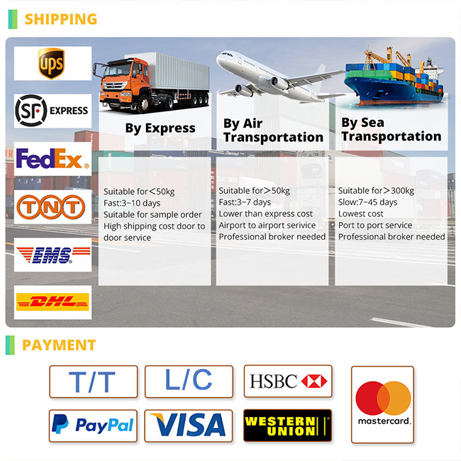 Shipping and Logistics