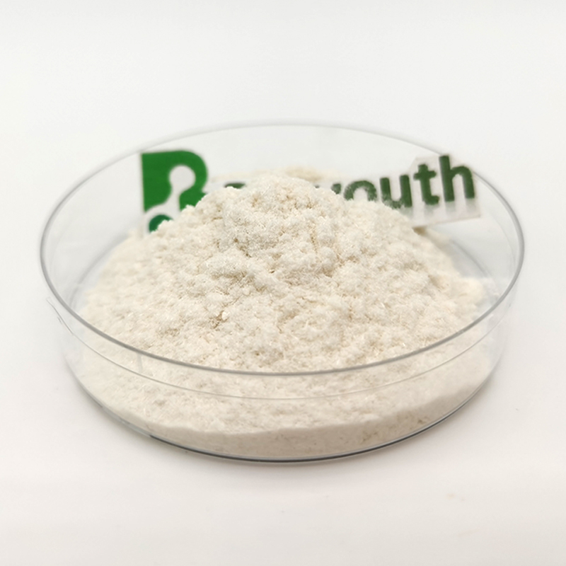 Good Wheat Protein Concentrate 99% Vegetable Protein Wheat Hydrolyzed Protein Powder