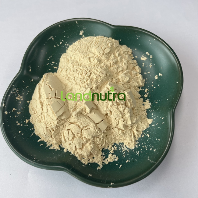 Hydrolyzed Protein Hvp Vegetable Wheat Rice Keratin Soy Protein Powder Hydrolyzed