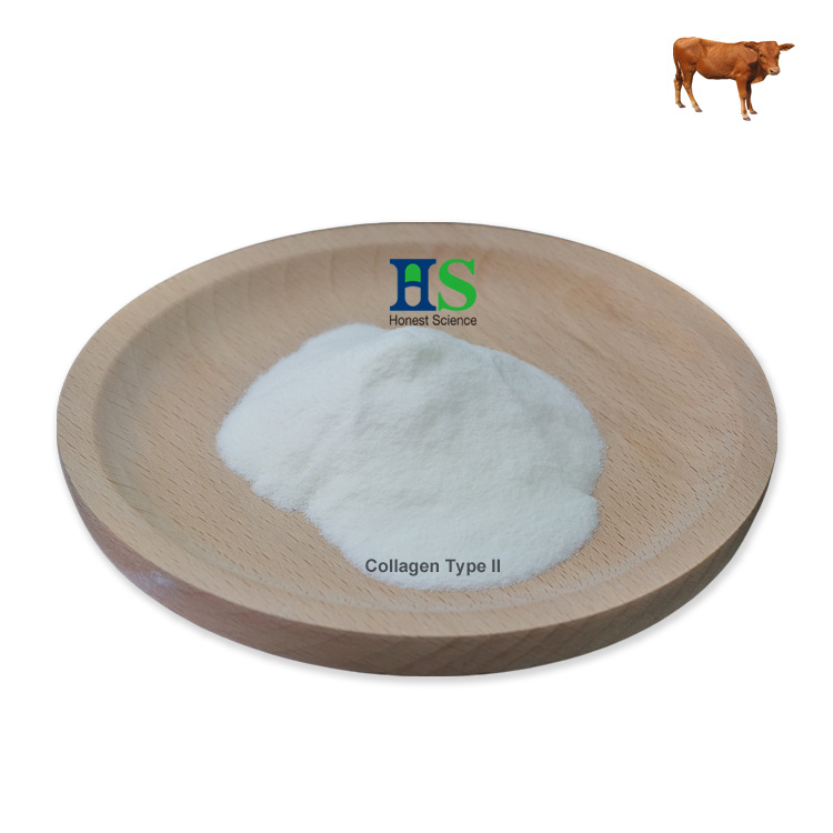 Hydrolyzed Collagen Type II Source Bovine Bone