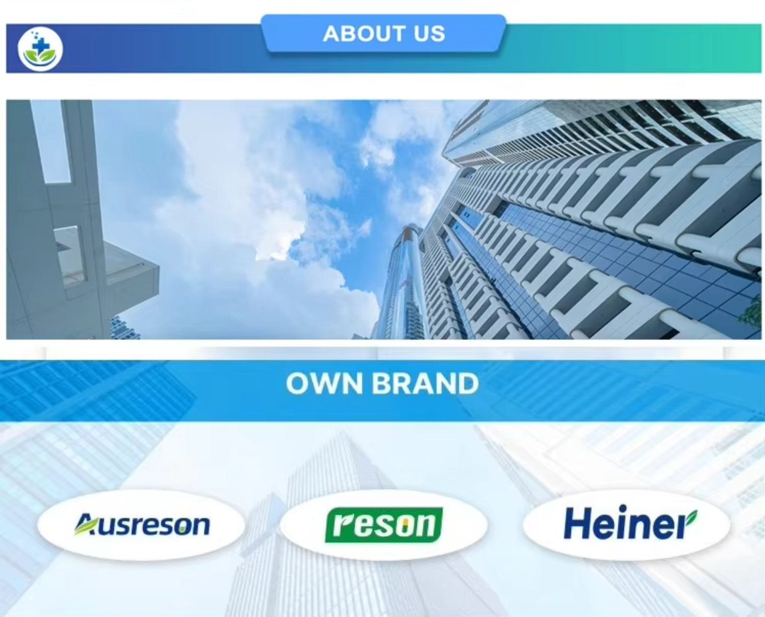 COMPANY OVERVIEW