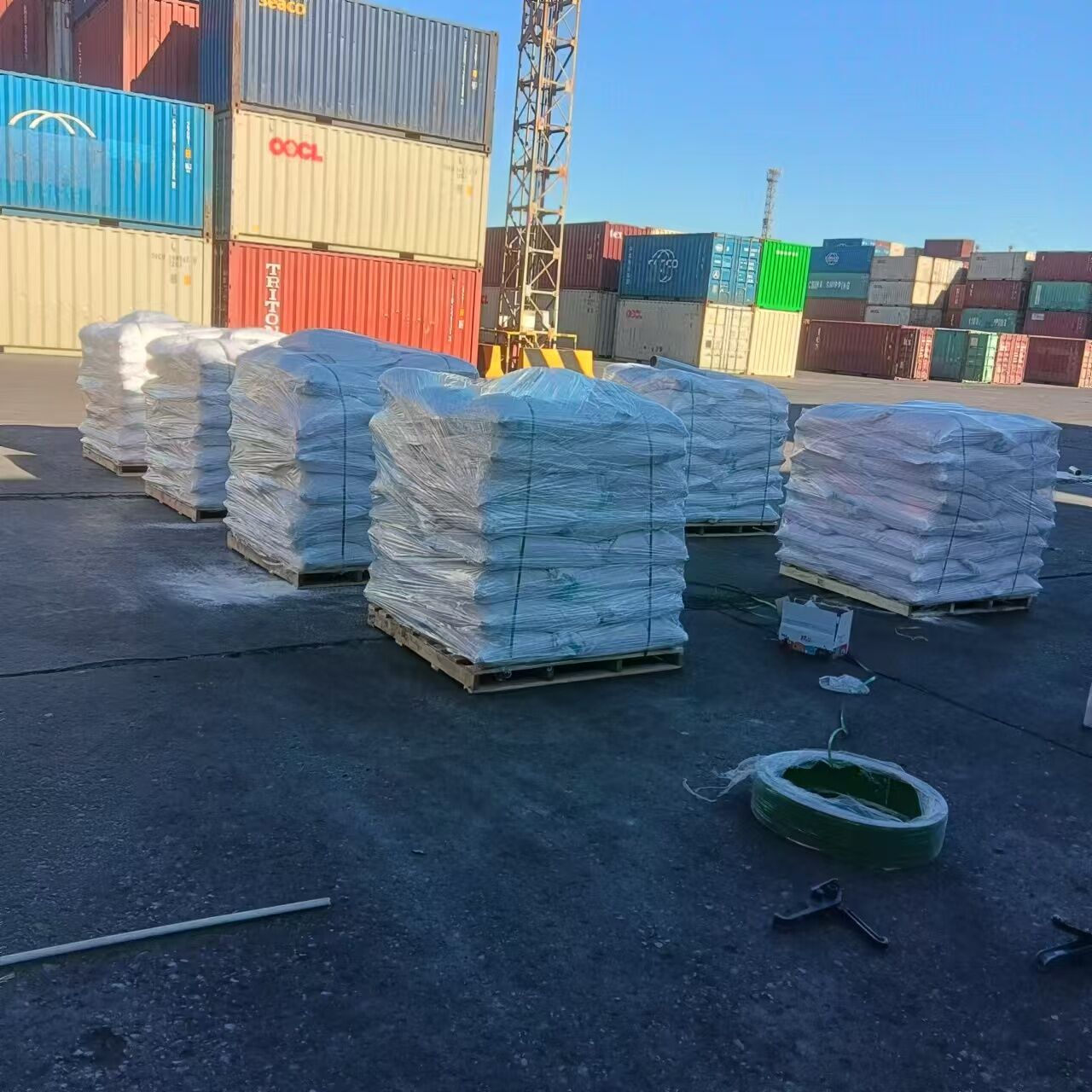 Hydrolyzed Rice Protein Powder Feed Grade 70% | High Palatability for Premium Pet Food Formulation