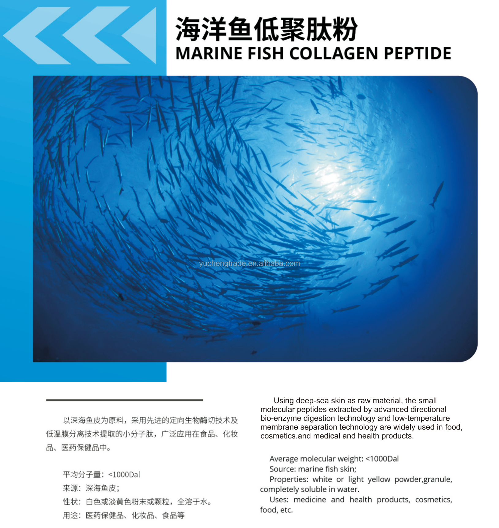 Fish Peptides Collagen Powder Details 1