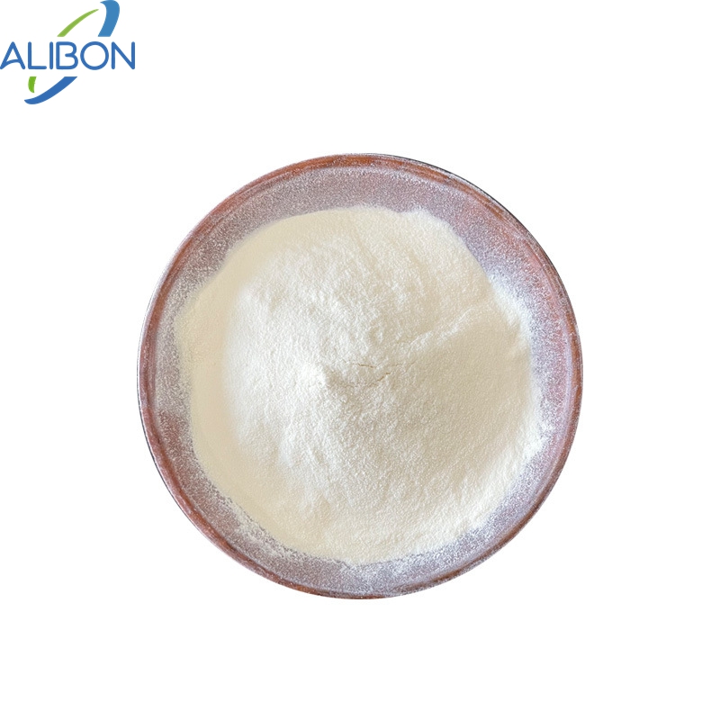 Private Label Whey Isolate Protein Powder Whey Protein