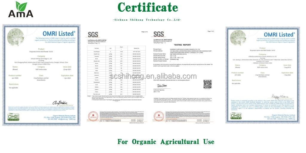 Company Image 2