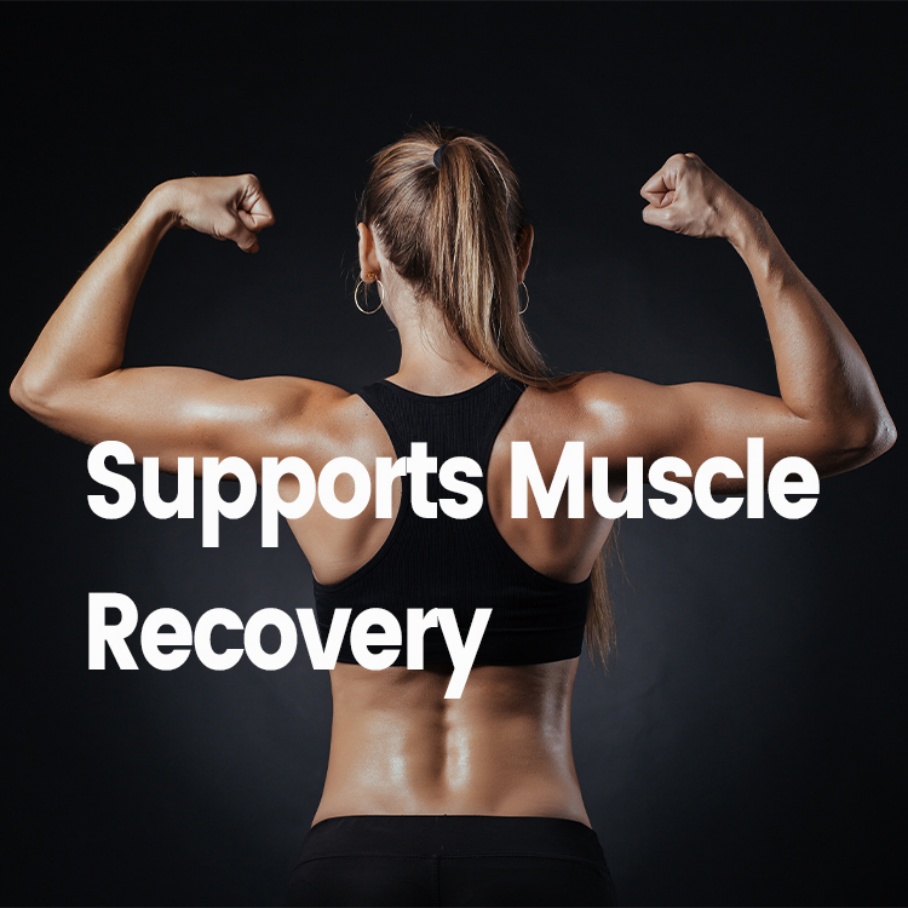 Private Label OEM 100% Whey Protein Powder Gym Protien Powder Nutrition Supplement Powder Increase Muscle Sports Supplement