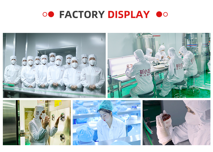 Factory Display 1