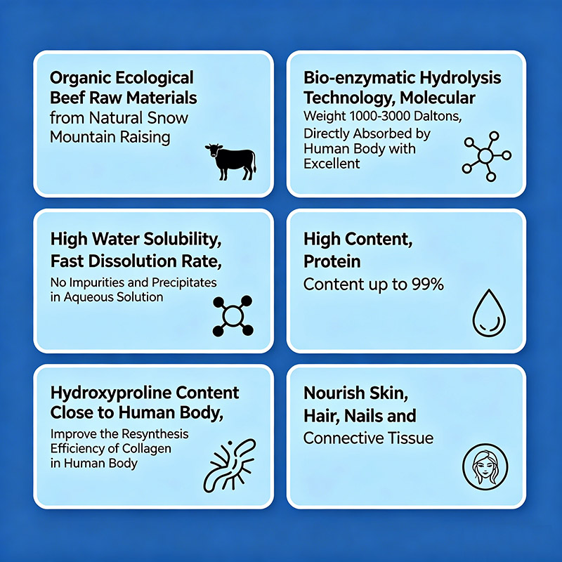 Food Grade Hydrolyzed Bovine Collagen Wholesale | Halal Certified Pure Raw Material Powder