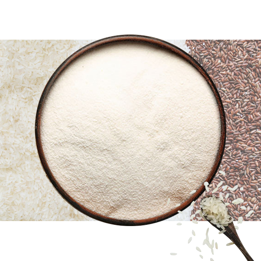 Protein Supplements