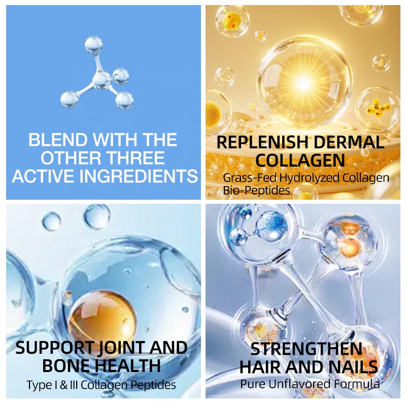 Lively Whale Collagen Bio-Peptides Protein for Skin Joint Health Source Factory OEMODM Private Label Customization