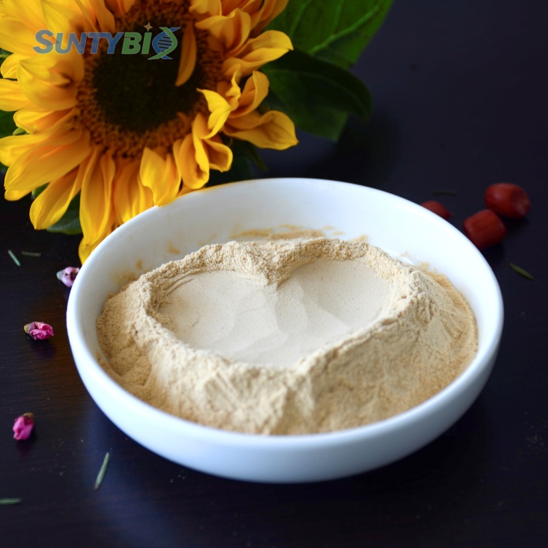 Factory Price Hydrolysed Yeast 50% Protein for Animal Feed