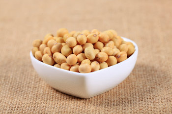 Hot Sale Hydrolyzed Isolated Soy Protein for Meat Products