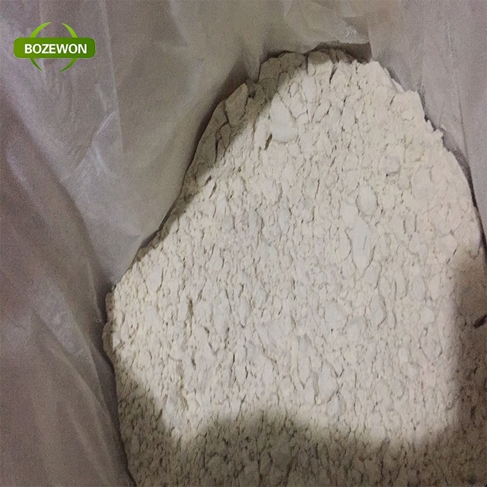 BOZEWON Hot Selling 80% Hydrolyzed Wheat Protein Powder High Concentration Nutritious Adult Protein Supplement 15kg/25kg Light