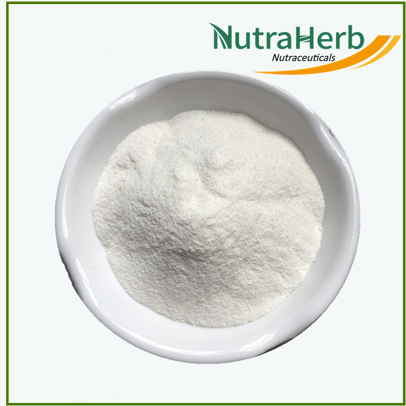 OEM Fish Peptides Powder Hydrolyzed Peptides Powder for Hair Skin Nail Vegan Fish Protein Powder in Bags for Gummmies