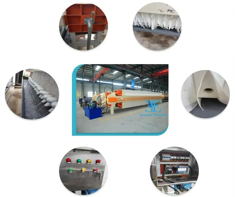Typical Application Scene for Sludge Dewatering Machine
