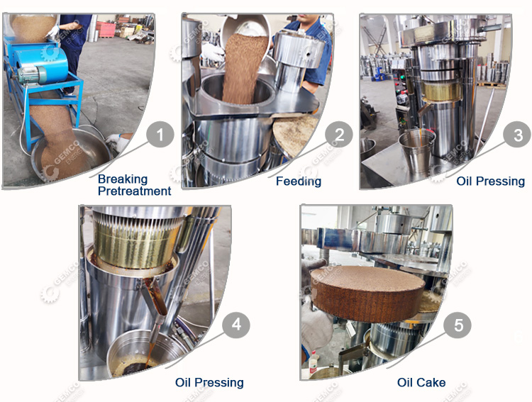 Process Design