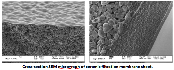 Micrograph