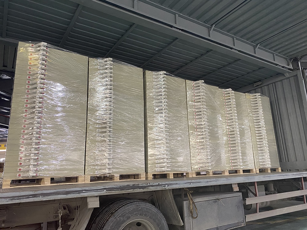 Zhejiang Longone Customized EPDM Recessed Filter Plate
