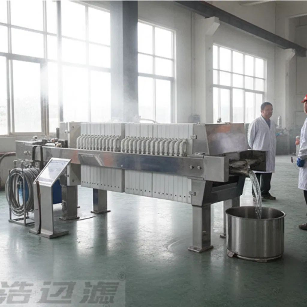 High-Performance Plate and Frame Filter Press for Food Grade Purification