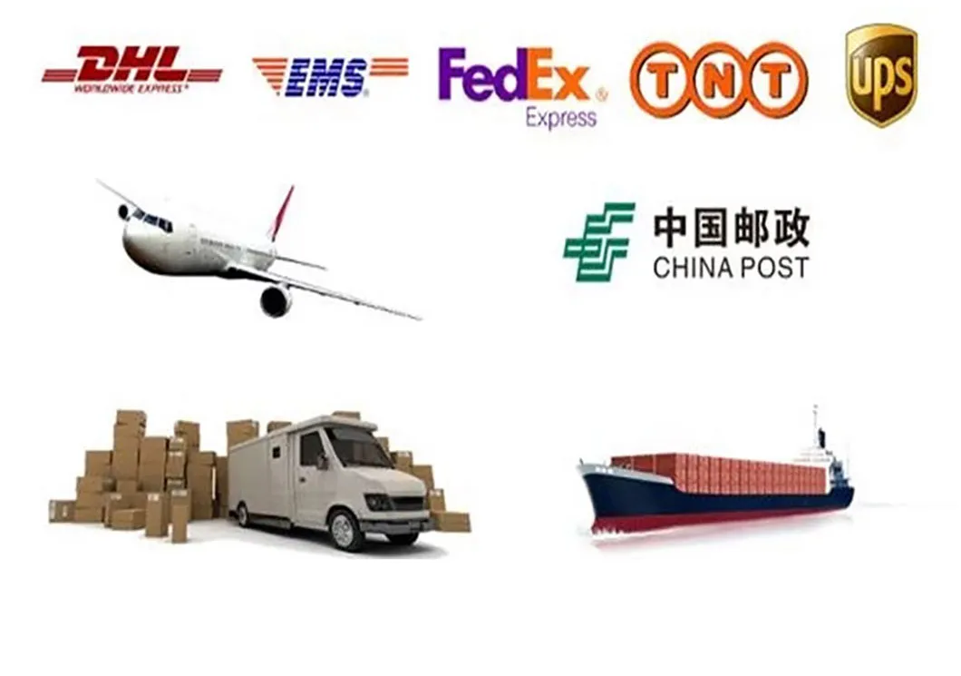 Global Shipping Logistics