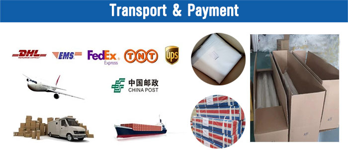 Shipping