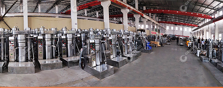 Cold Oil Press Machine
