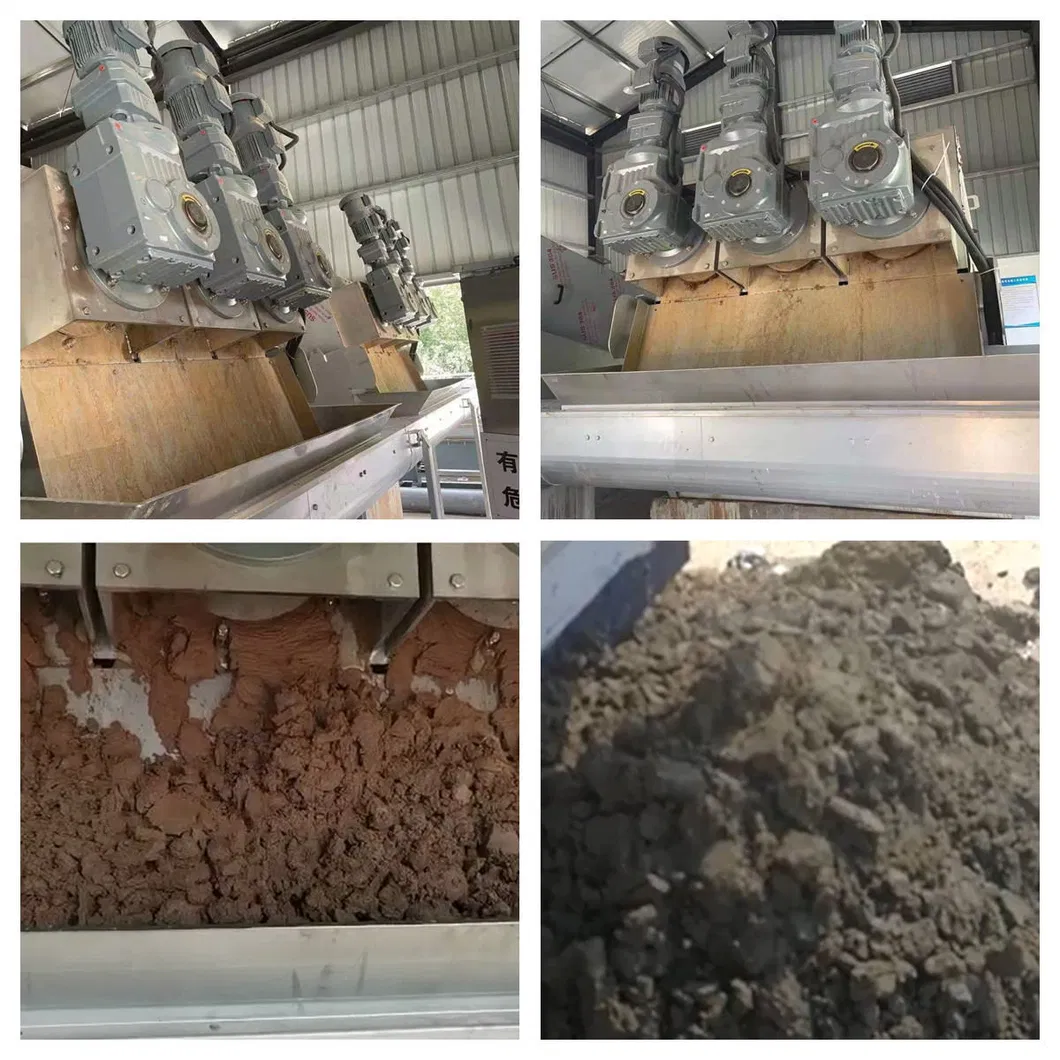 Screw Press Sludge Dewatering Production Site