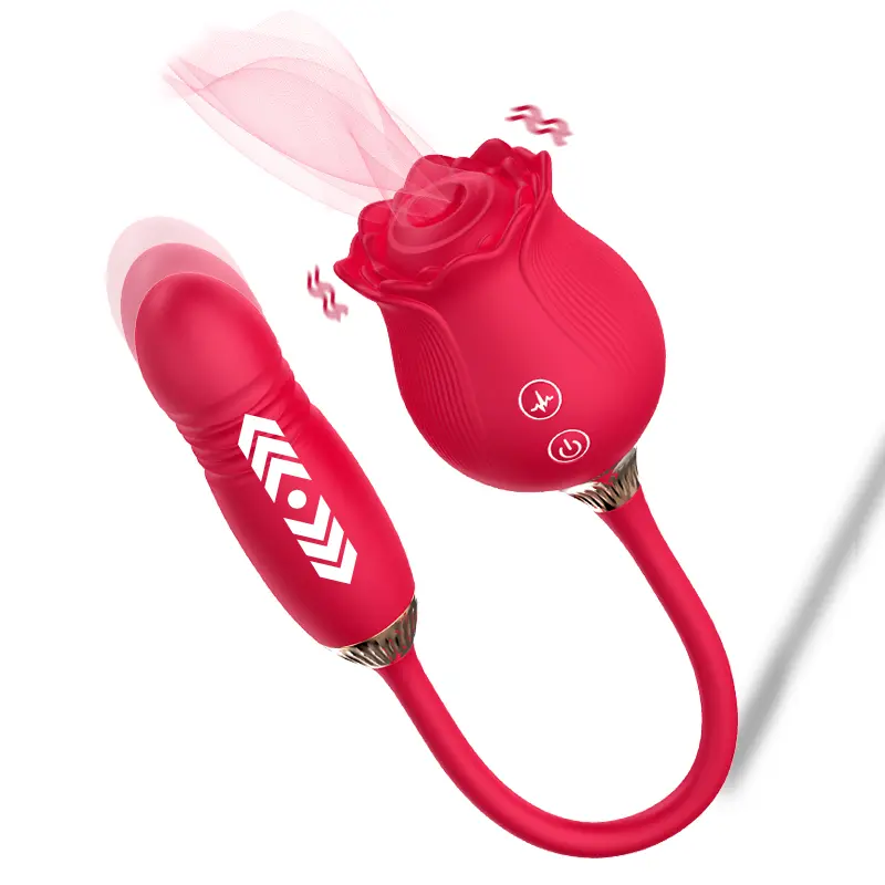 ODM Rose toy for women store for sex Manufacturer, Product