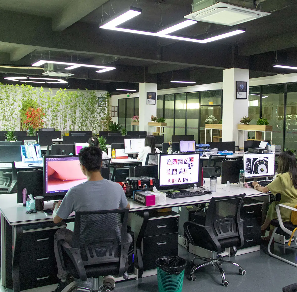 Office and Showroom Showcase