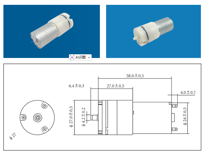 Micro Air Pump 1