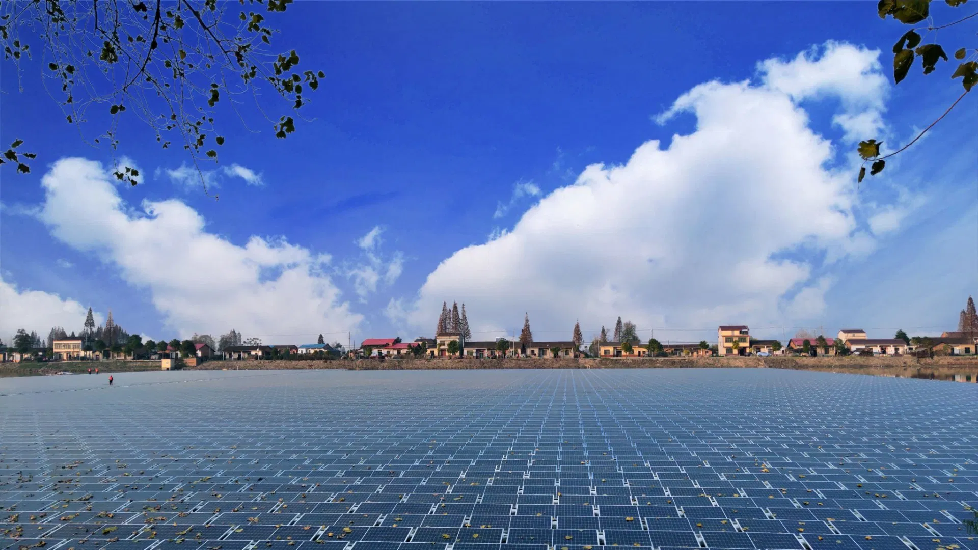Longi/Ja/Jinko Trina Canadian Risen Aioties Módulos Solares Fotovoltaicos Monocristalinos 144 Celdas Semiperforadas Precio 390W 400W 410W