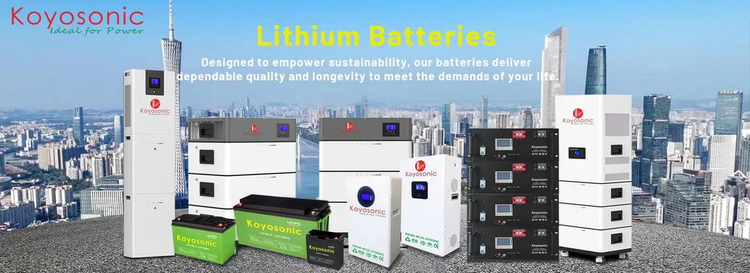 LiFePO4 Batería