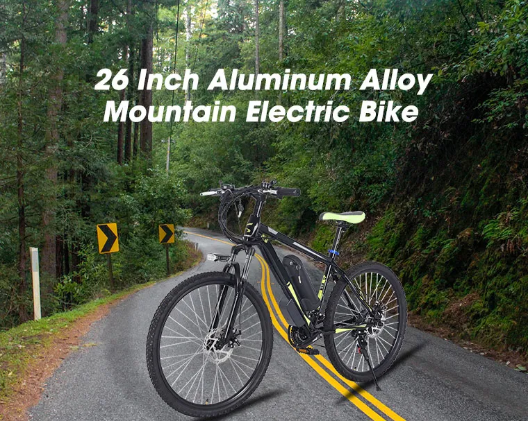 Bicicleta Elétrica 1