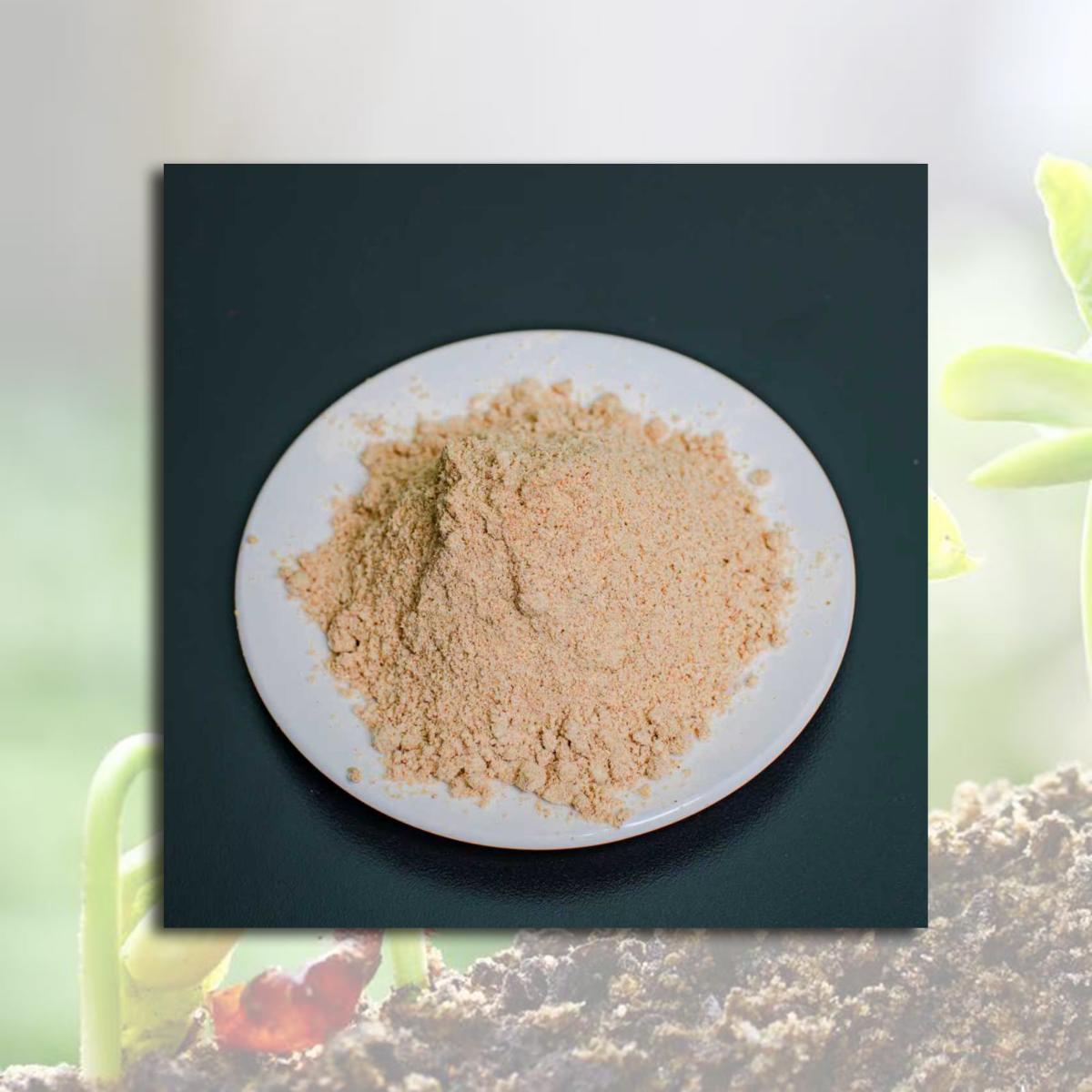 Cheap Fermented Soy Powder Manufacturers, Factories